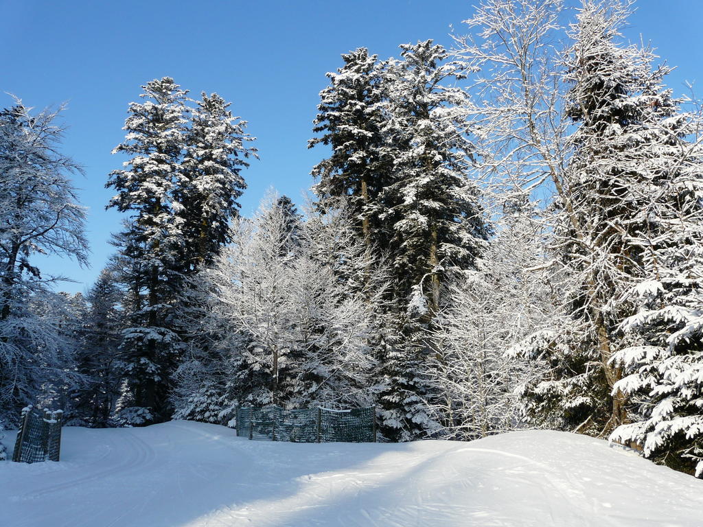 Chalet Les Sapins Argentes 热拉梅 客房 照片
