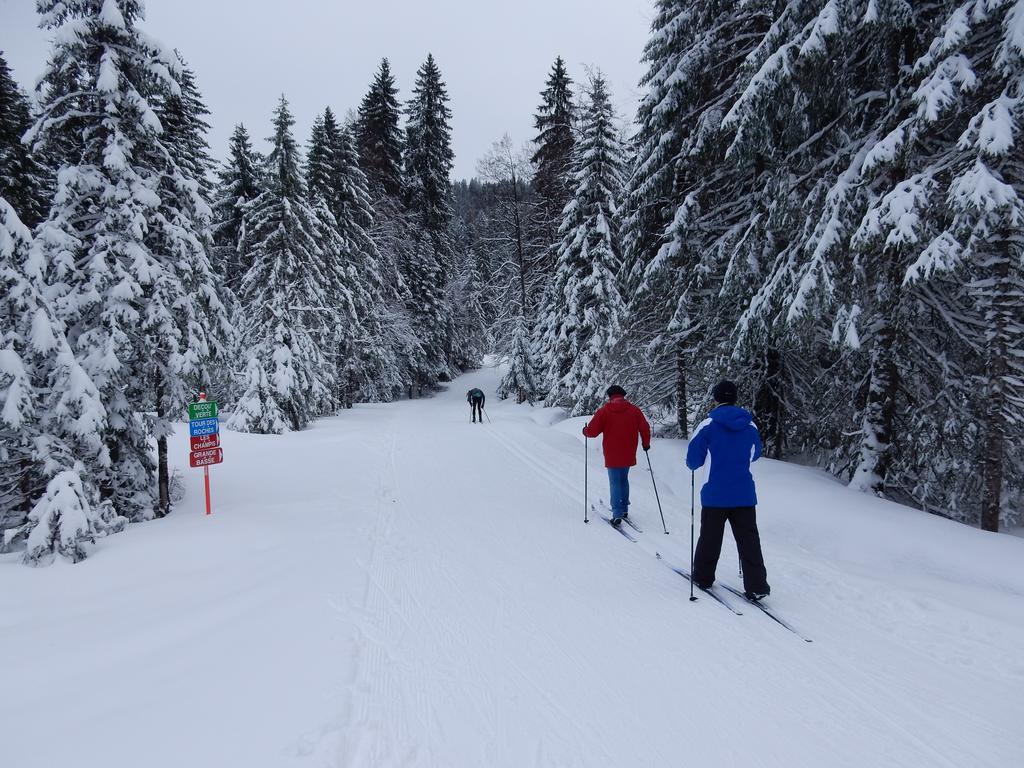 Chalet Les Sapins Argentes 热拉梅 外观 照片
