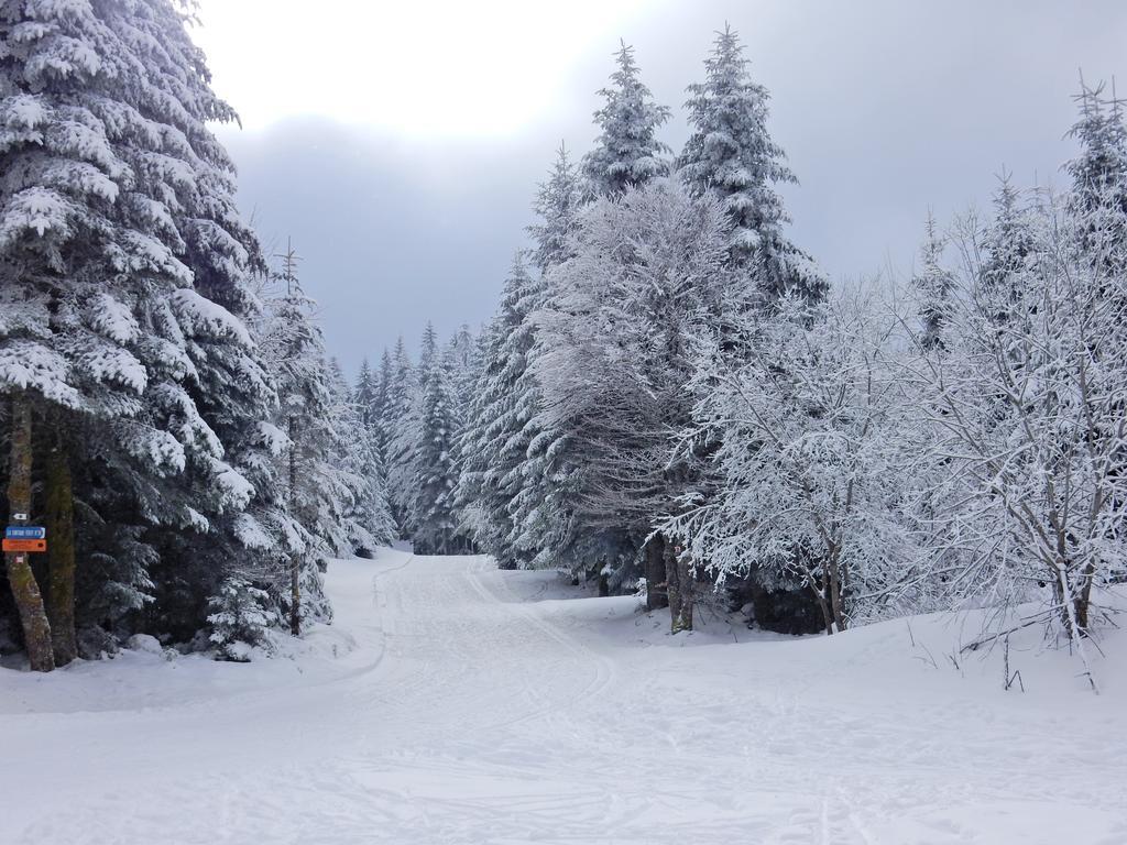 Chalet Les Sapins Argentes 热拉梅 外观 照片