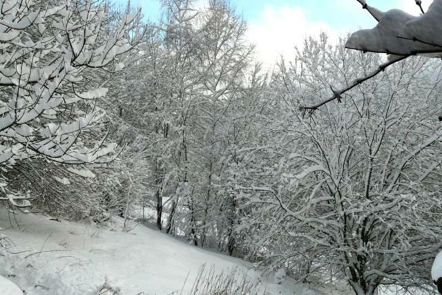 Chalet Les Sapins Argentes 热拉梅 客房 照片
